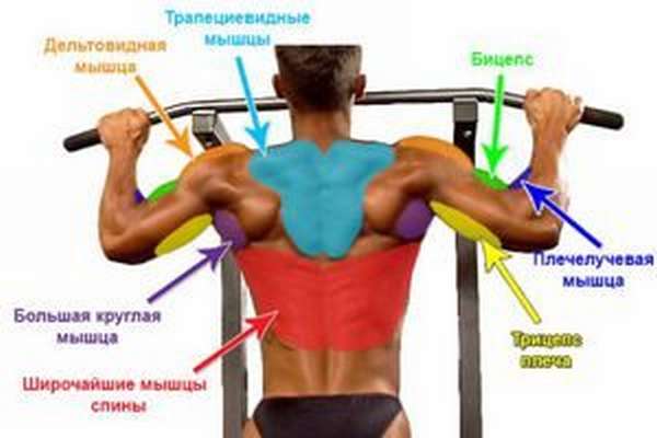 Упражнения для плечевого пояса при остеохондрозе